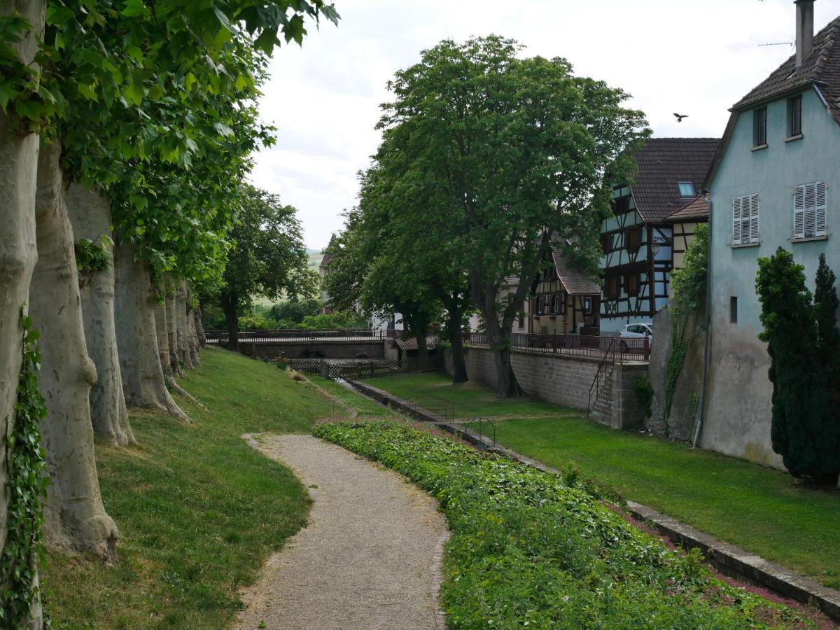 La Cour St-Fulrad - Les Suites Saint-Hippolyte  Buitenkant foto